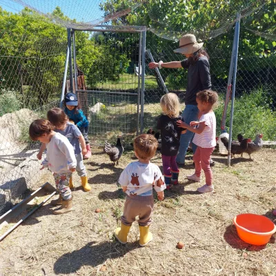 Actividades de granja una educadora y niños alimentan gallinas en un corral al aire libre; aprendizaje sobre animales y responsabilidad.